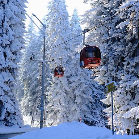 Your Place Borovets Extérieur photo